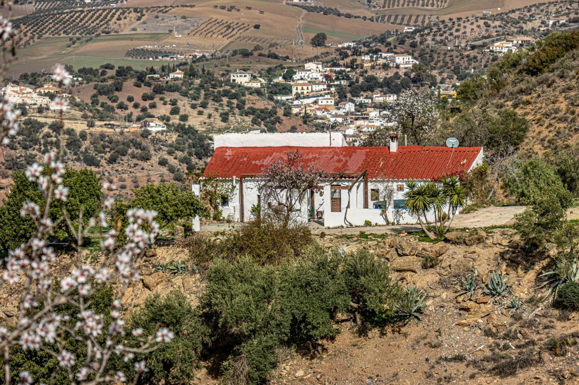 Vila El Sueno, Cortijo Andalusi Del Siglo XIX Almogía Exteriér fotografie